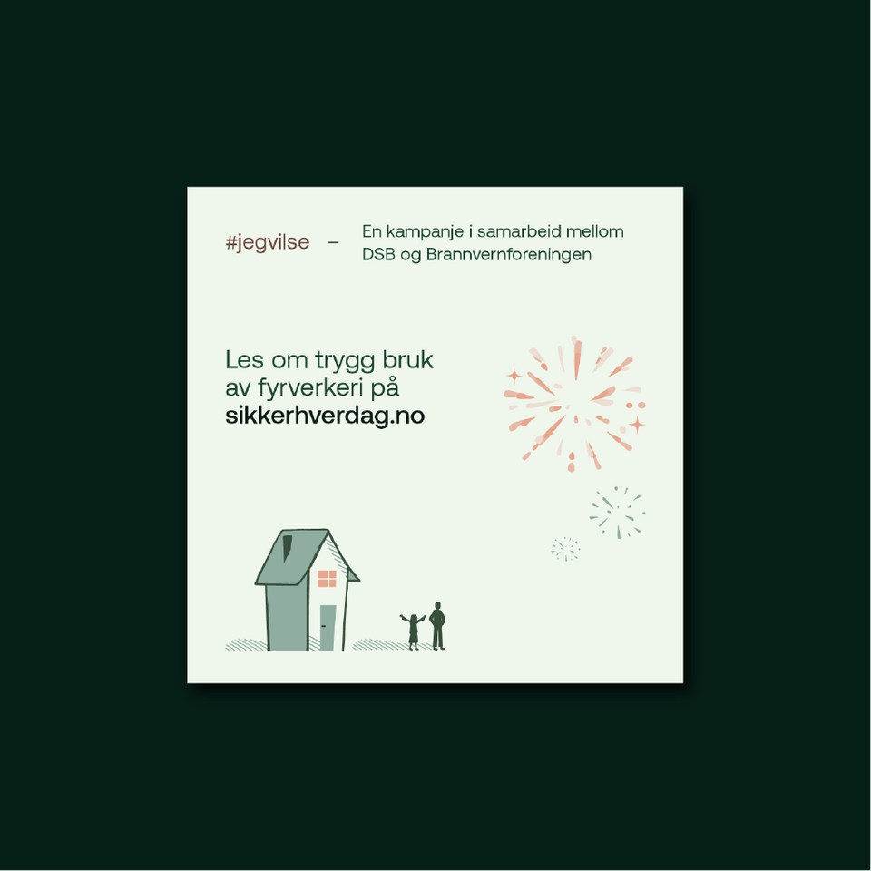 Fyrverkeri innlegg 9 av 9
